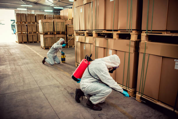 Best Pest Prevention Services  in Mccom, MS