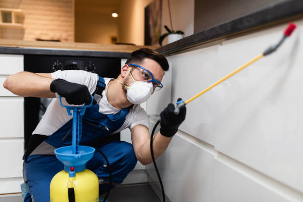 Best Emergency Pest Control  in Mccom, MS