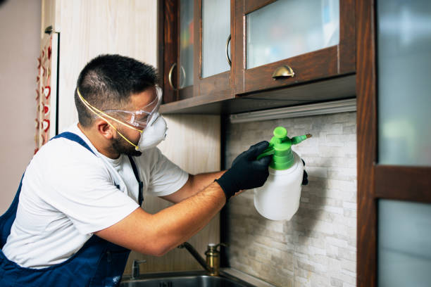 Best Best Pest Control Companies  in Mccom, MS