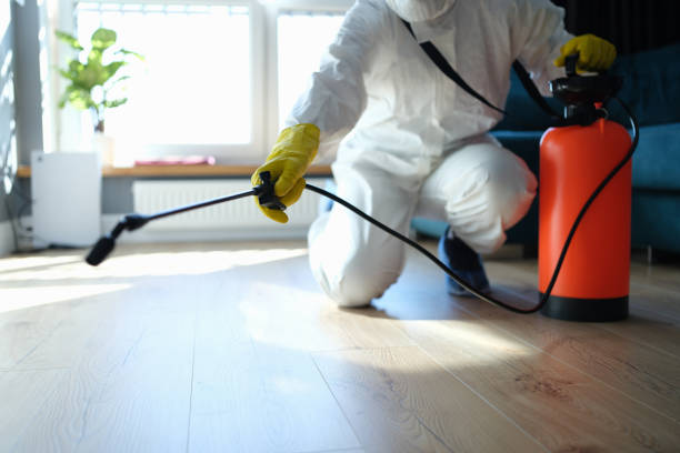 Best Wasp Removal Services  in Mccom, MS