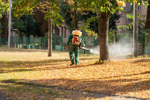 Best Spider Control Near Me  in Mccom, MS