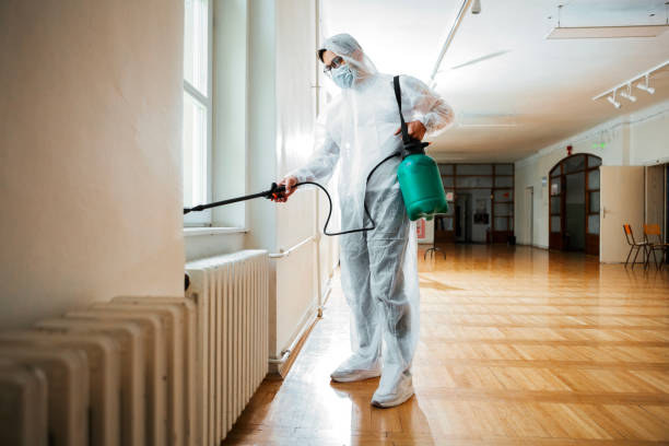 Best Wasp Removal Services  in Mccom, MS