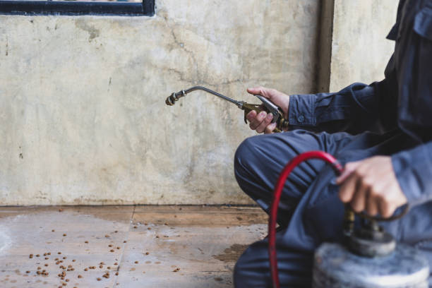 Best Pest Inspection Near Me  in Mccom, MS